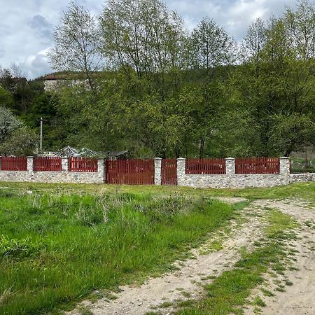 Hotel La Gradina Mehadija Esterno foto