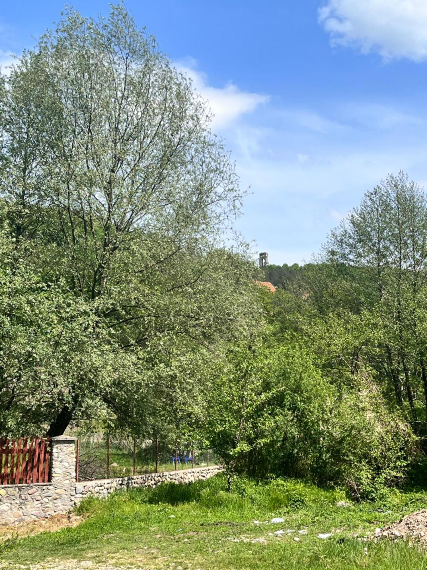 Hotel La Gradina Mehadija Esterno foto