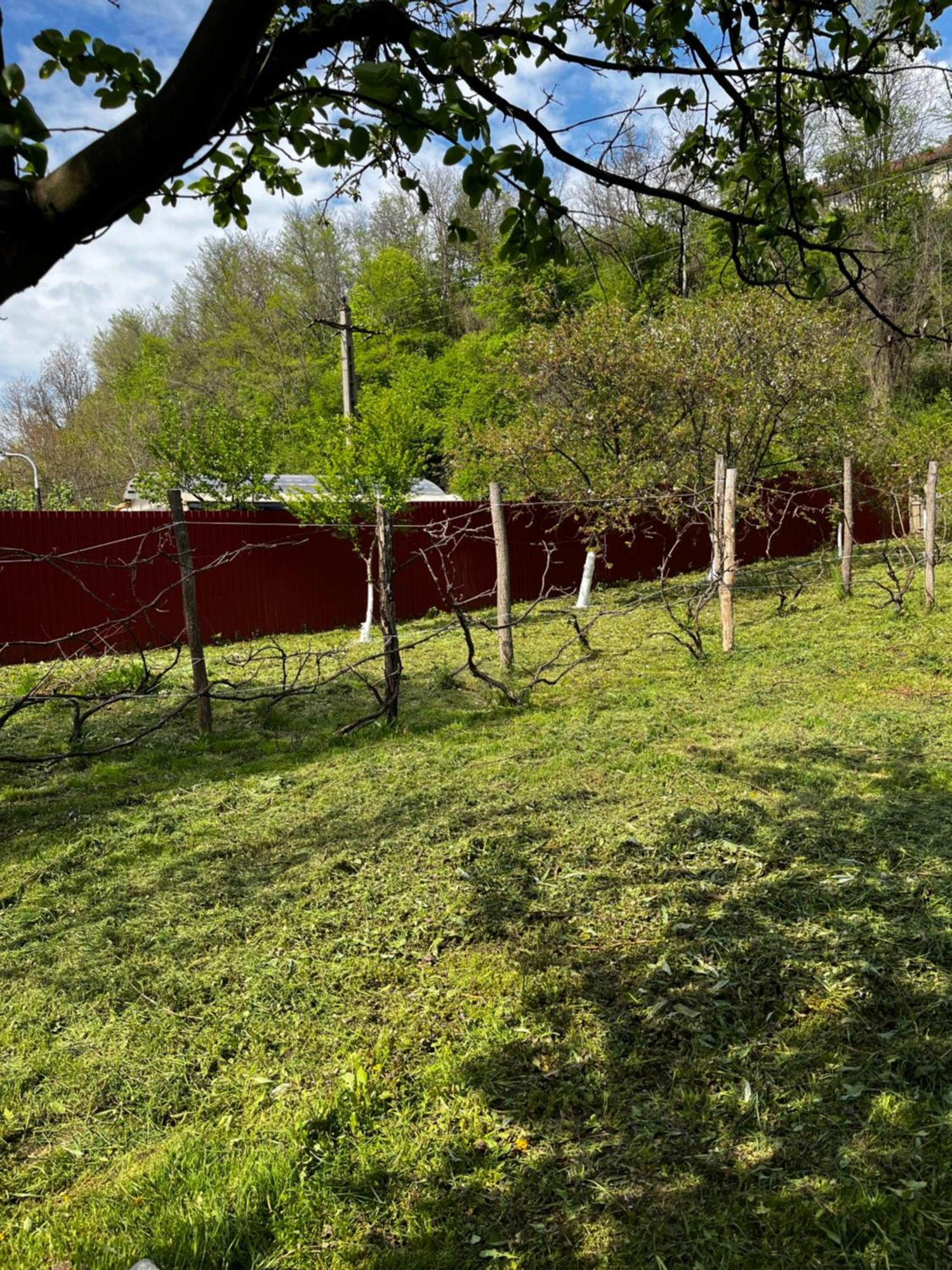 Hotel La Gradina Mehadija Esterno foto