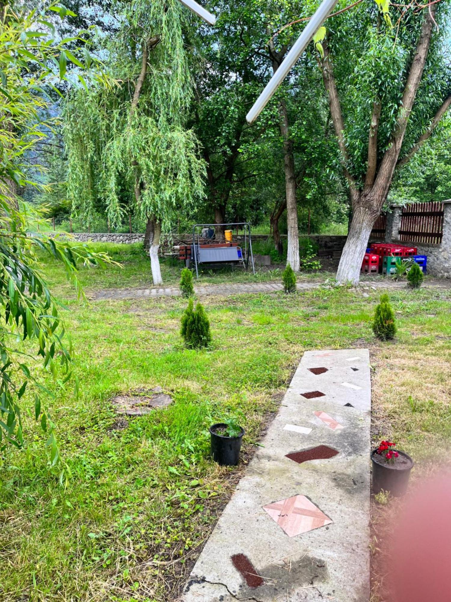 Hotel La Gradina Mehadija Esterno foto