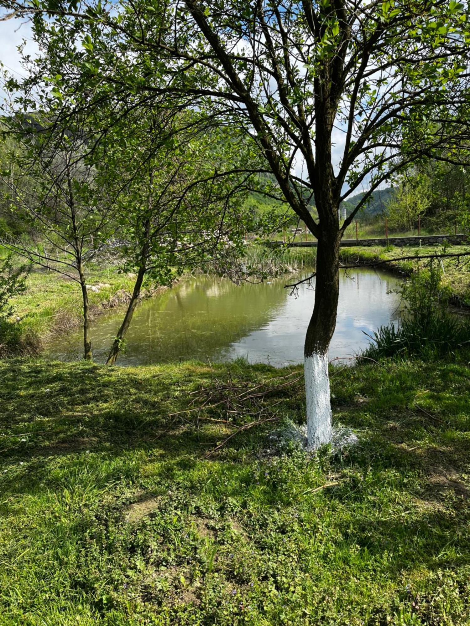Hotel La Gradina Mehadija Esterno foto